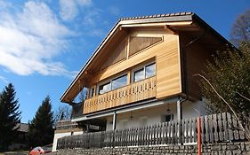 Chalet Moderne Avec Panorama Unique En Gruyere